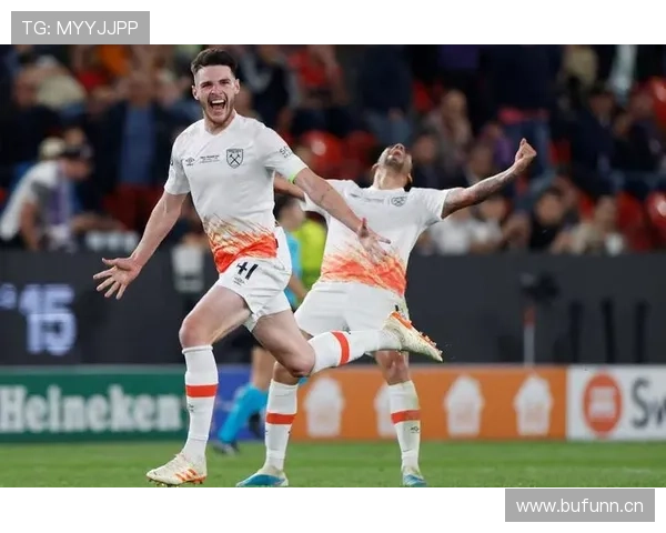 帕利尼亚 vs 赖斯：覆盖能力与全面性对比分析